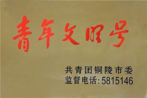 銅陵市青年文明號(hào)