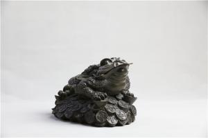 金錢蟾
