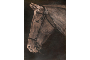 馬首